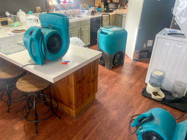 Best Sewage cleanup and water damage restoration  in Montevideo, MN